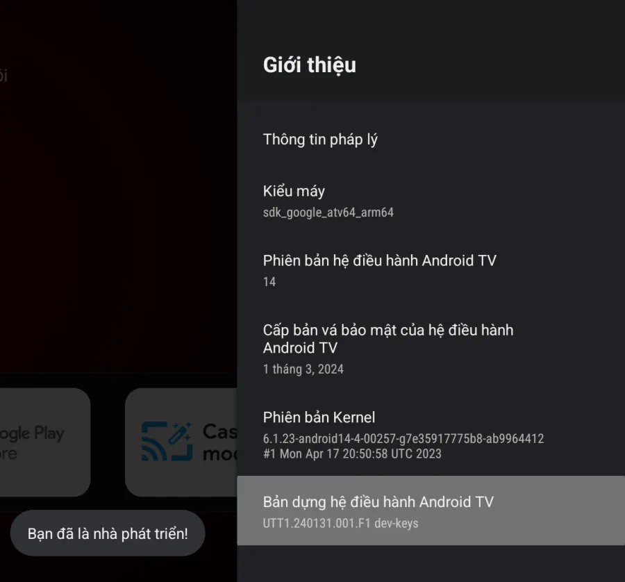 Bấm OK vào Bản dựng 7 lần